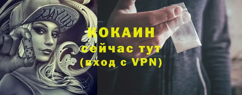 COCAIN 99%  сколько стоит  Подпорожье 